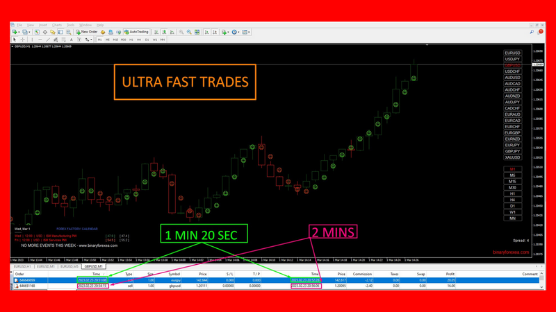 Black Friday Special: Unlock 4-in-1 Binary Options Mastery for Maximum Profits! 🚀💰