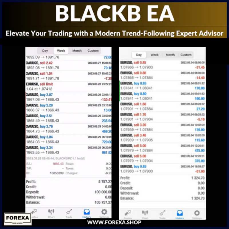Blackb EA: Elevate Your Trading with a Modern Trend-Following Expert Advisor With SetFiles