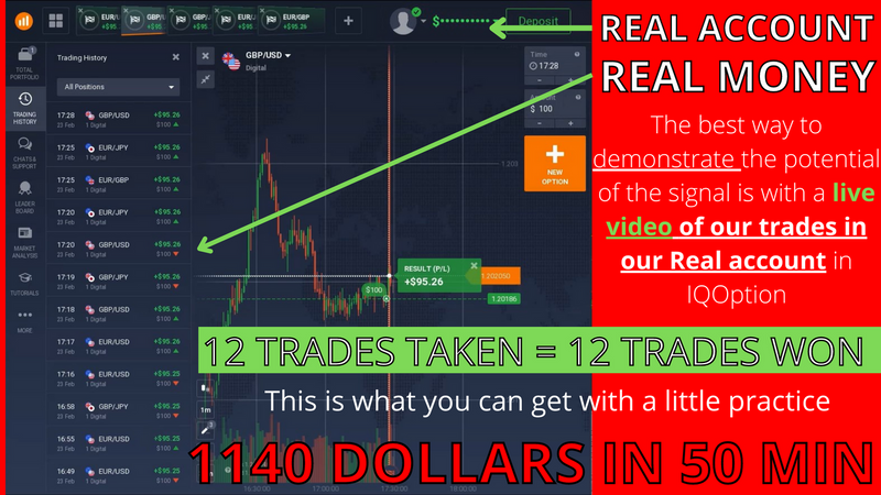 Black Friday Special: Unlock 4-in-1 Binary Options Mastery for Maximum Profits! 🚀💰