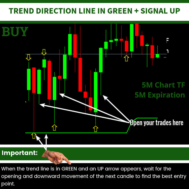 Black Friday Special: Unlock 4-in-1 Binary Options Mastery for Maximum Profits! 🚀💰